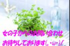 Heavens Bless求人情報
