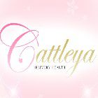 Cattleya-カトレヤ-求人情報